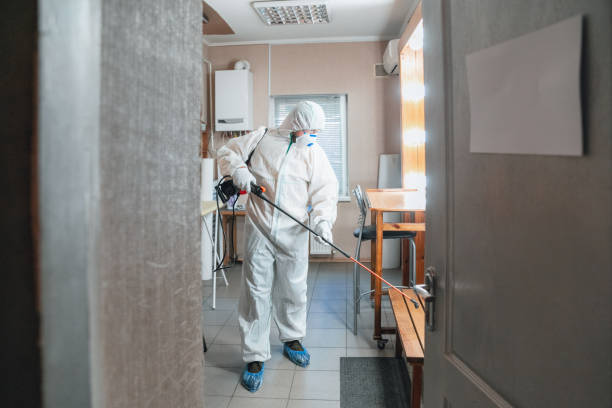 Dehumidification Services in Ladoga, IN