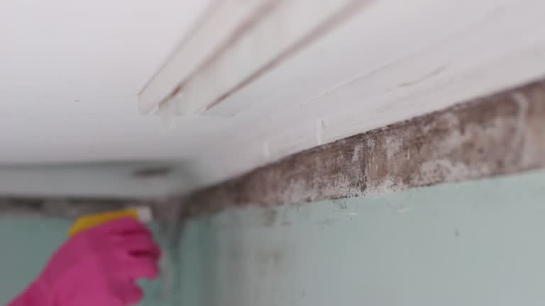Best Indoor Air Quality Assessment  in Ladoga, IN